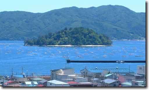 山田湾の大島の写真