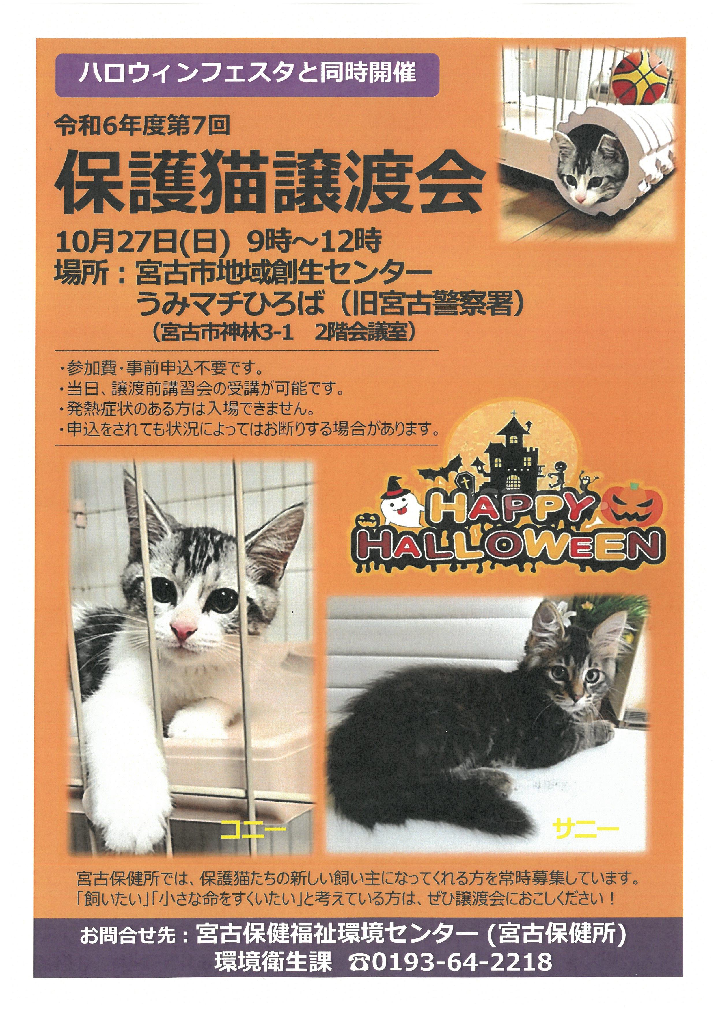 令和6年度第7回保護猫譲渡会のポスター
