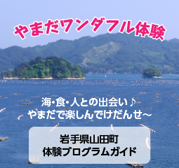 やまだワンダフル体験プログラムガイド 東北・岩手「山田町」の観光情報サイト