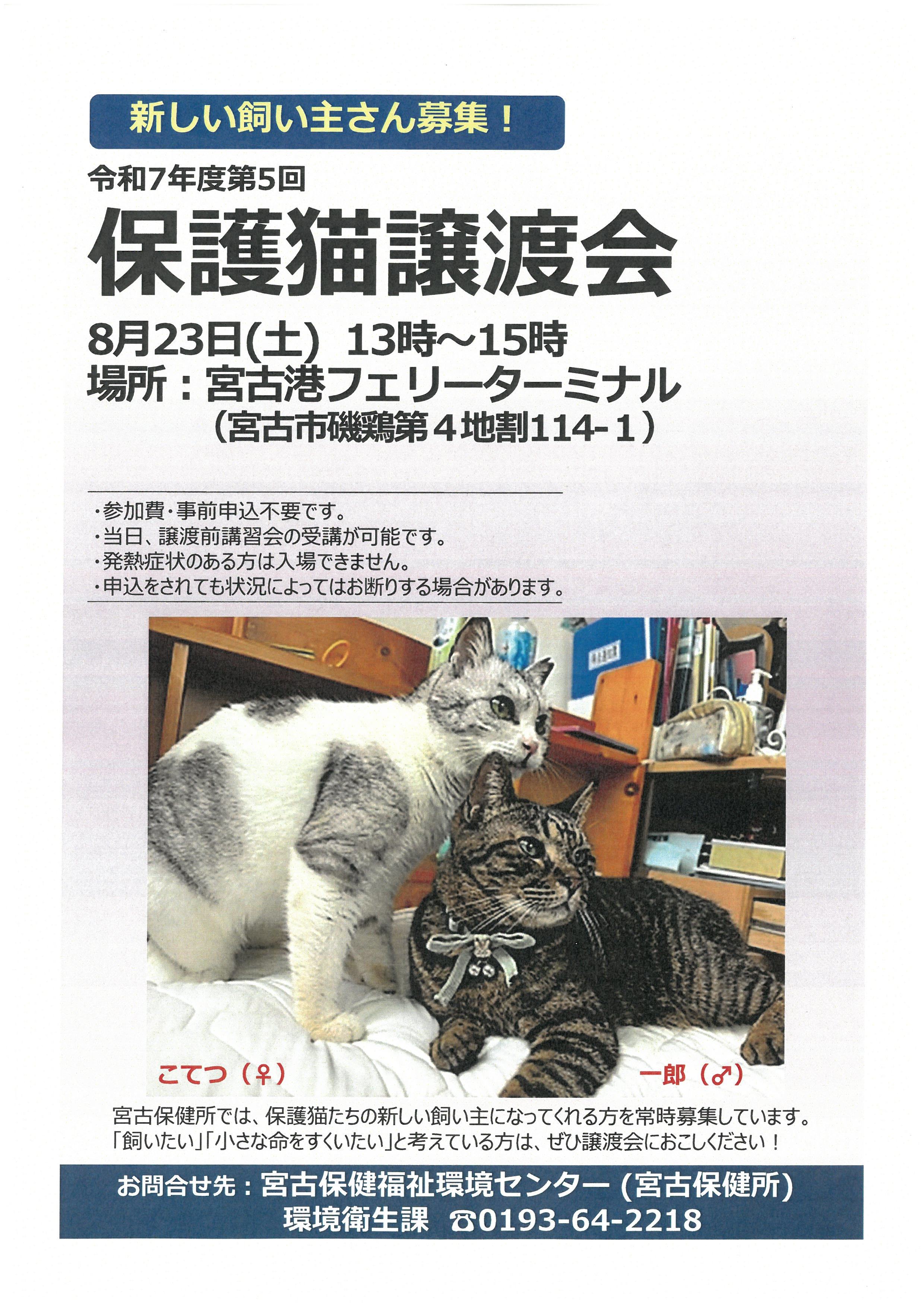 8月23日開催の保護猫譲渡会ポスター