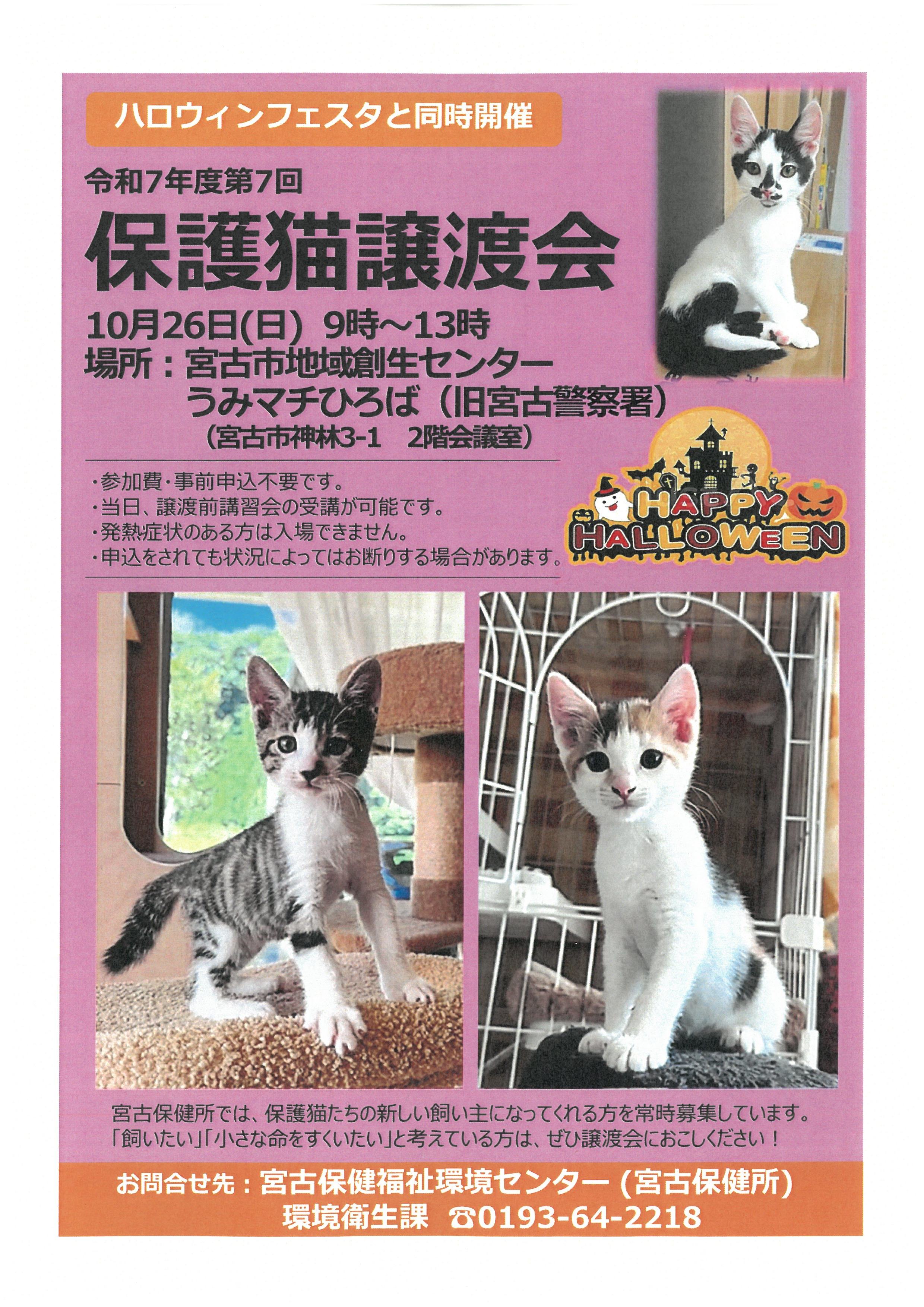 10月26日開催の保護猫譲渡会ポスター