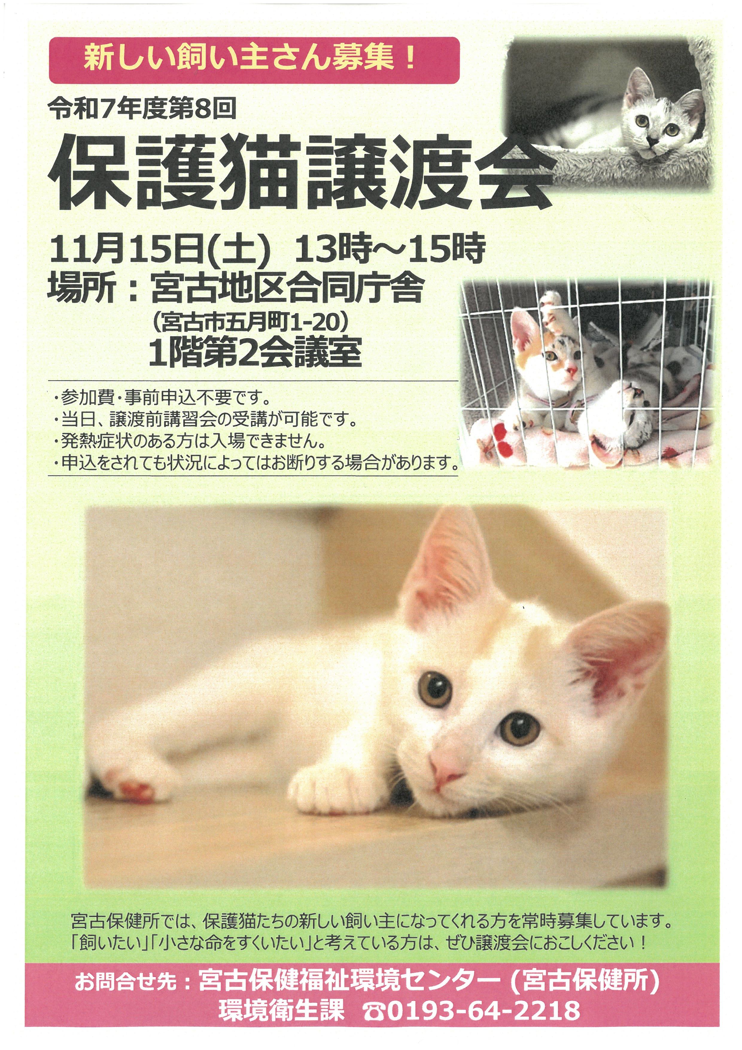 11月15日開催の保護猫譲渡会ポスター