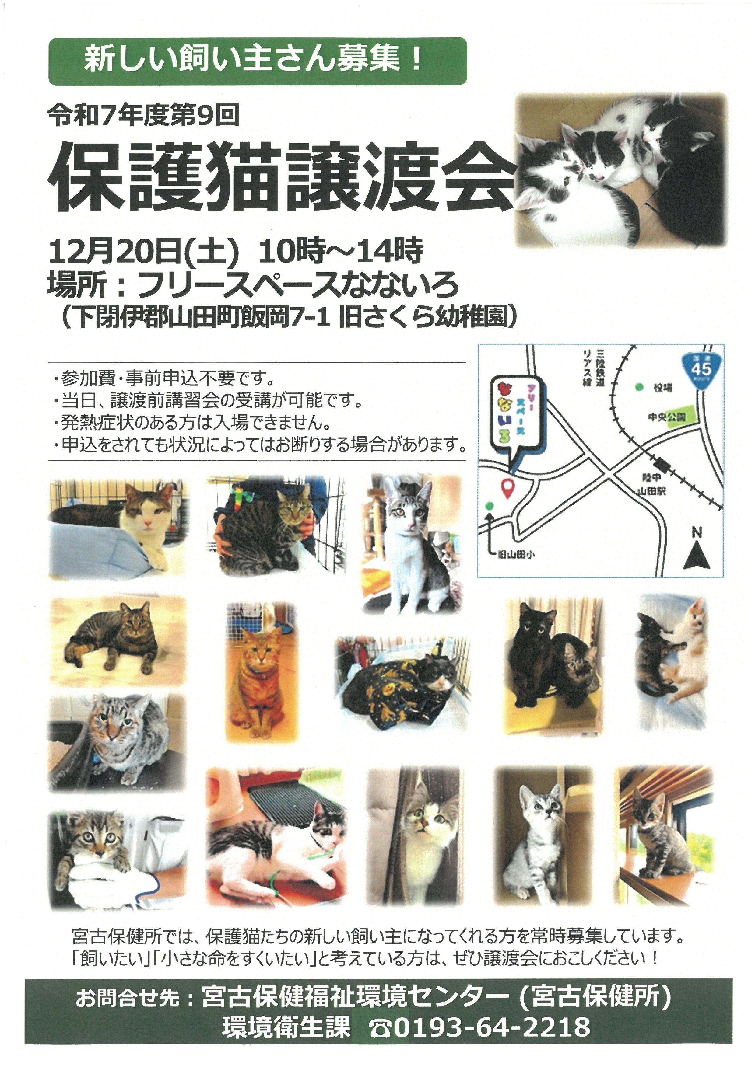 12月20日開催の保護猫譲渡会ポスター
