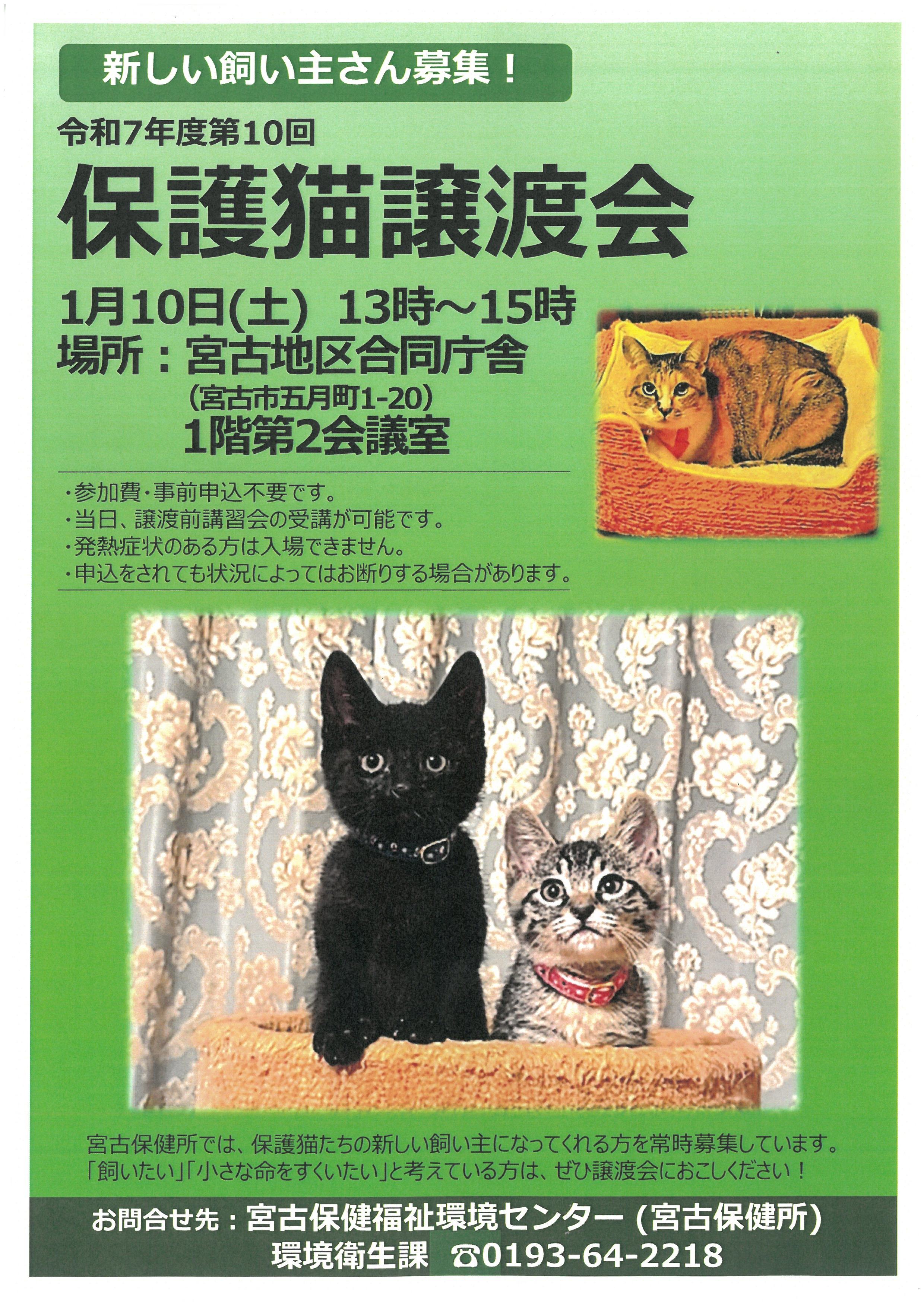 1月10日開催の保護猫譲渡会ポスター