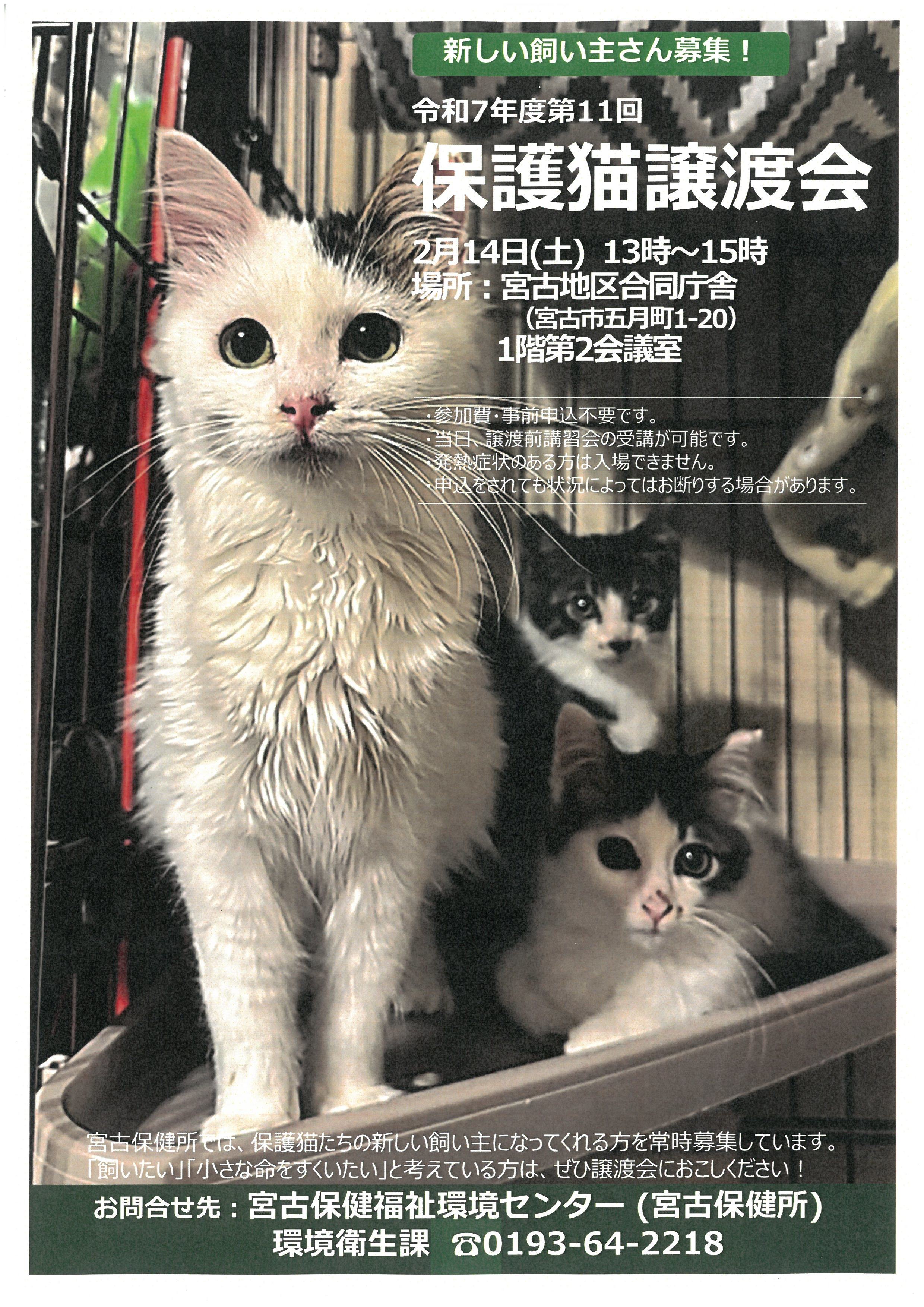 2月14日開催の保護猫譲渡会ポスター