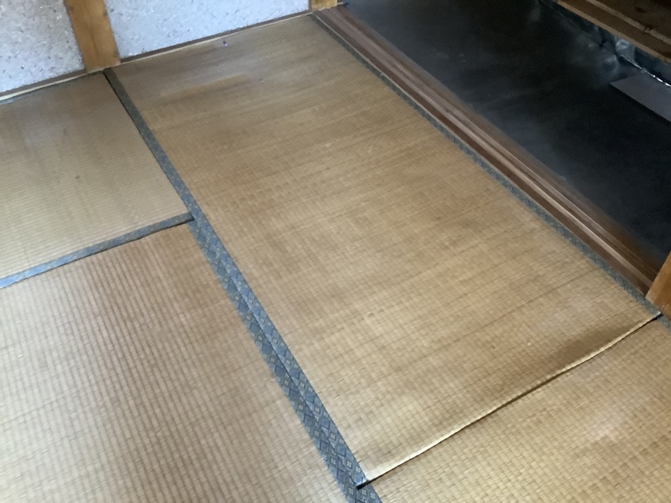 tatami.jpeg