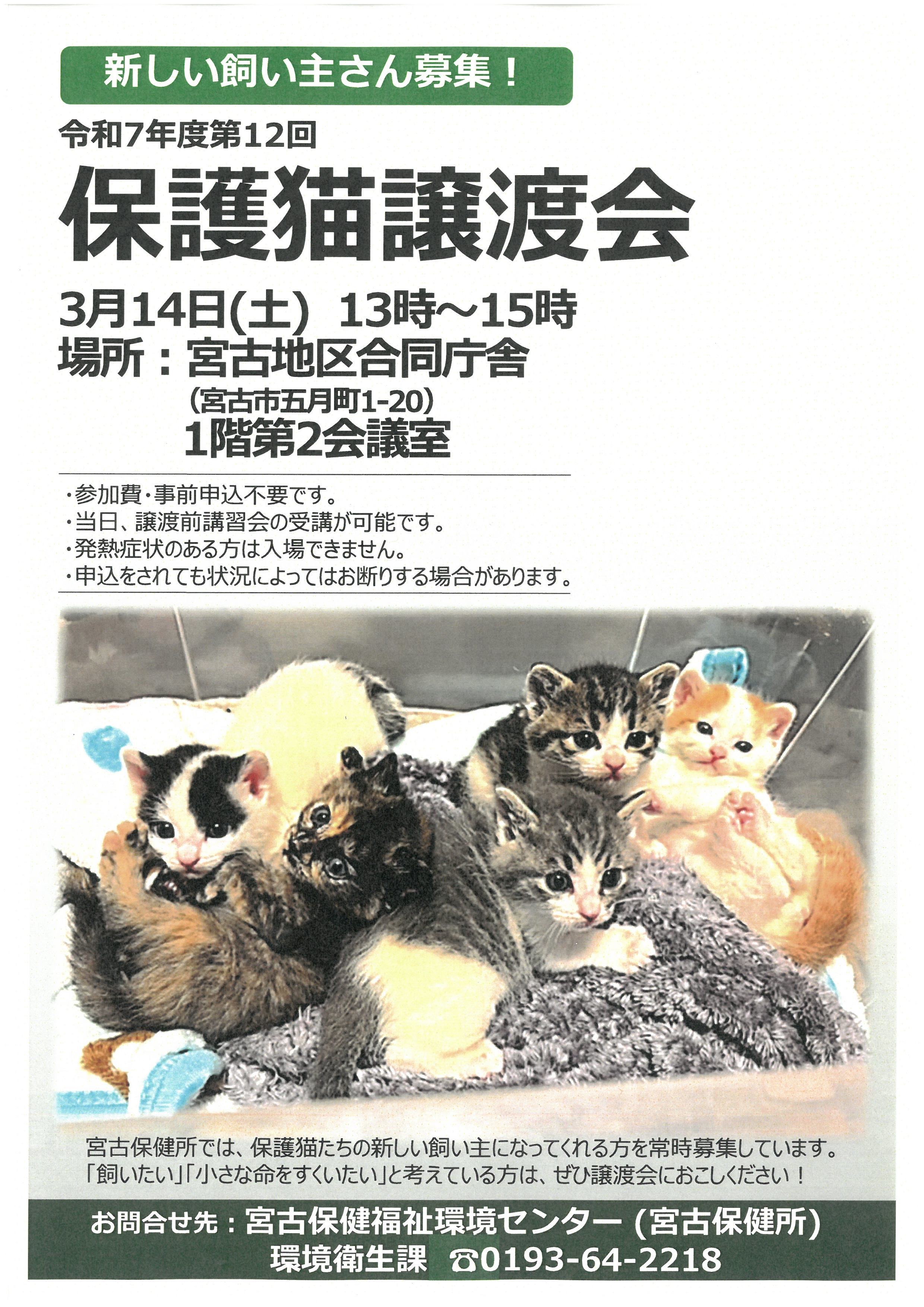 3月14日開催の保護猫譲渡会ポスター