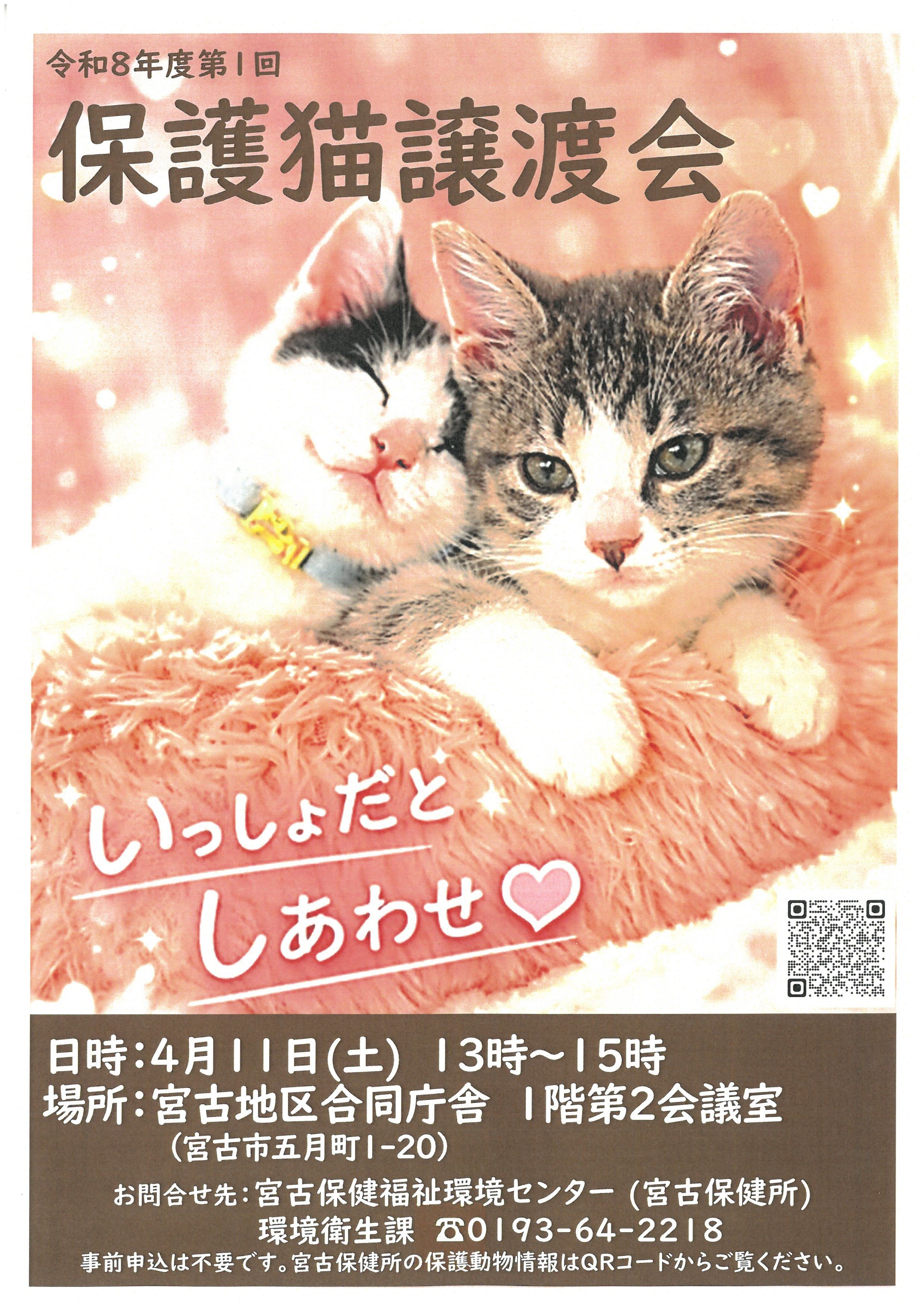 保護猫譲渡会ポスター