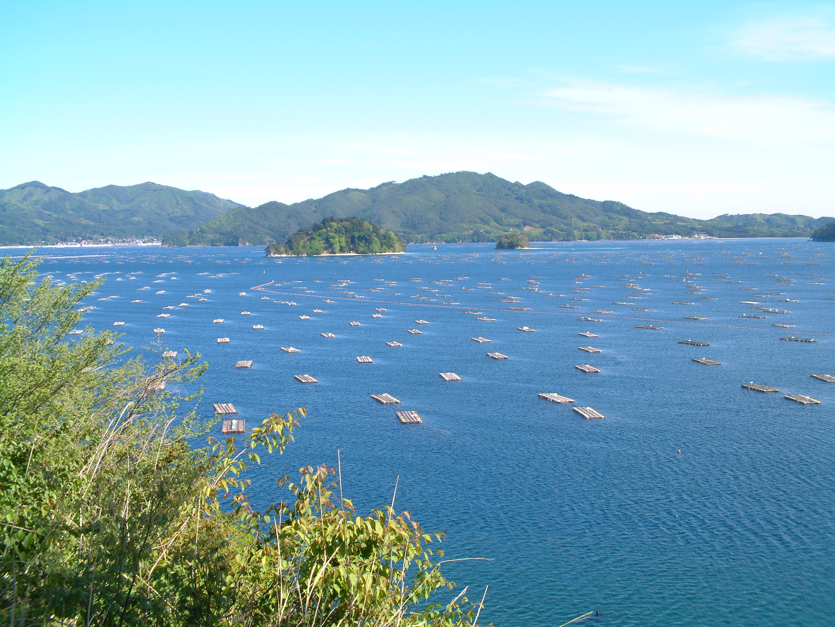 山田湾