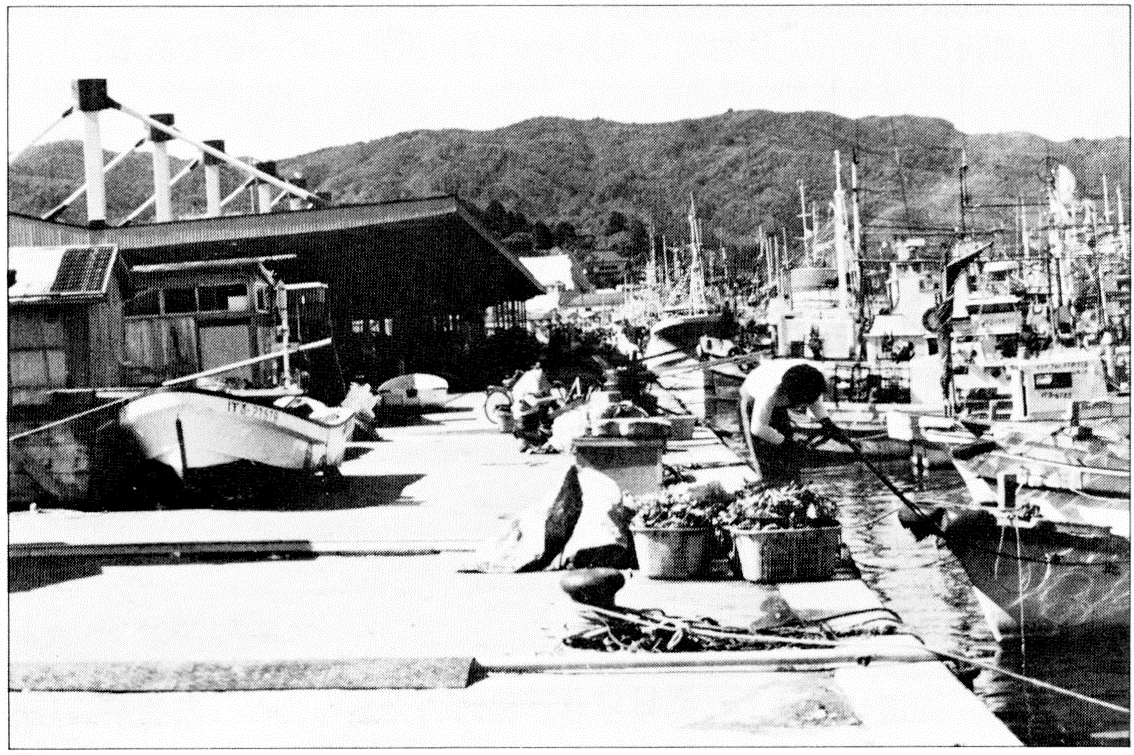 山田港の船着き場と魚市場の写真