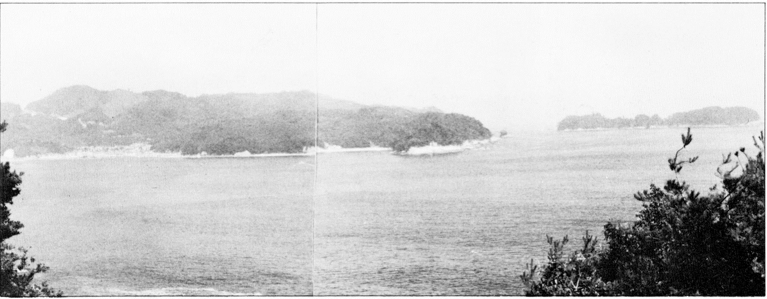船越半島、船越の大島の写真