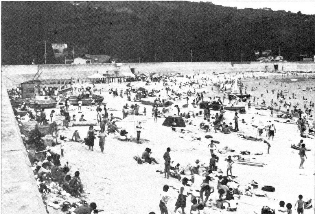 海水浴でにぎわう前須賀の写真