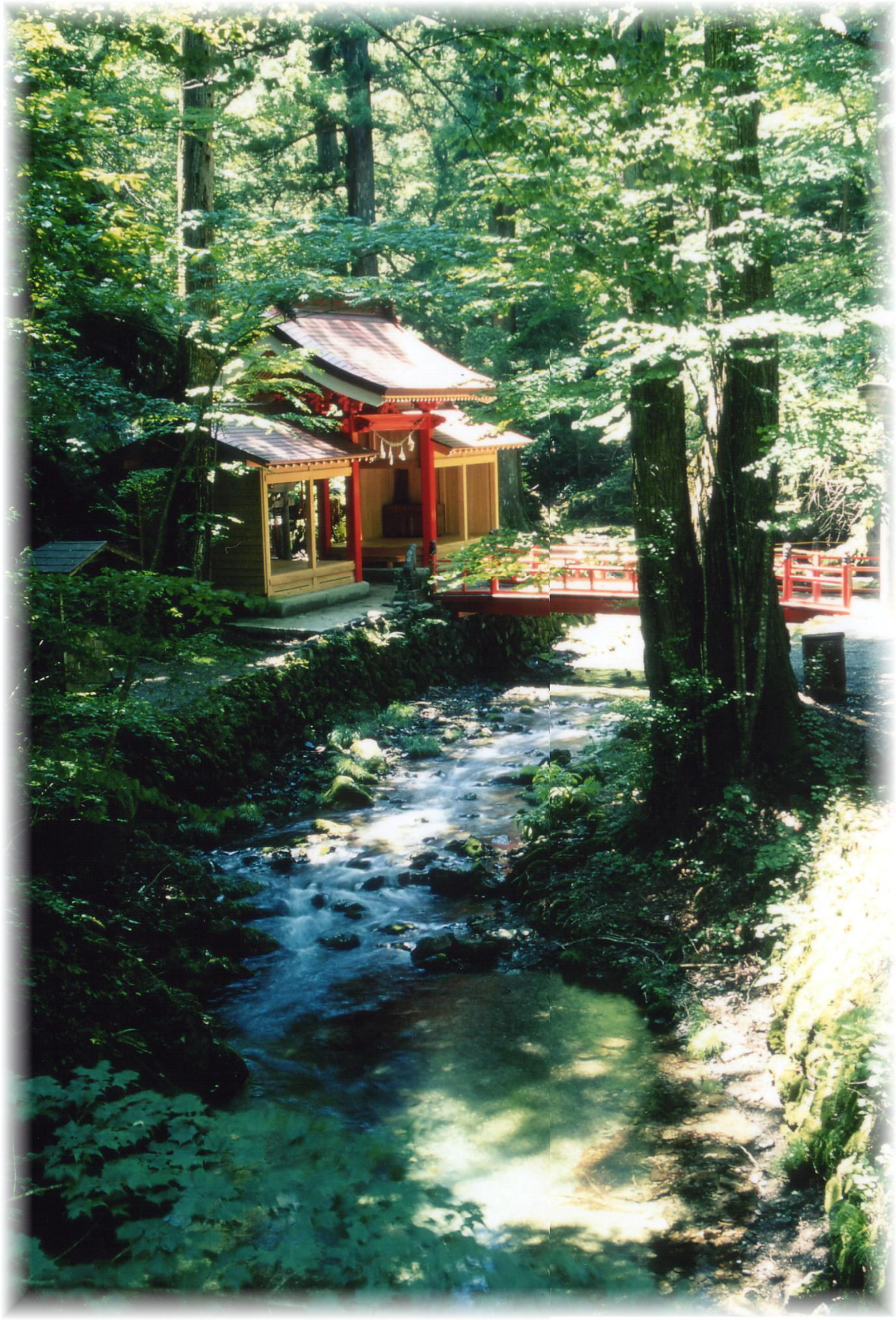 関口不動尊渓流風景