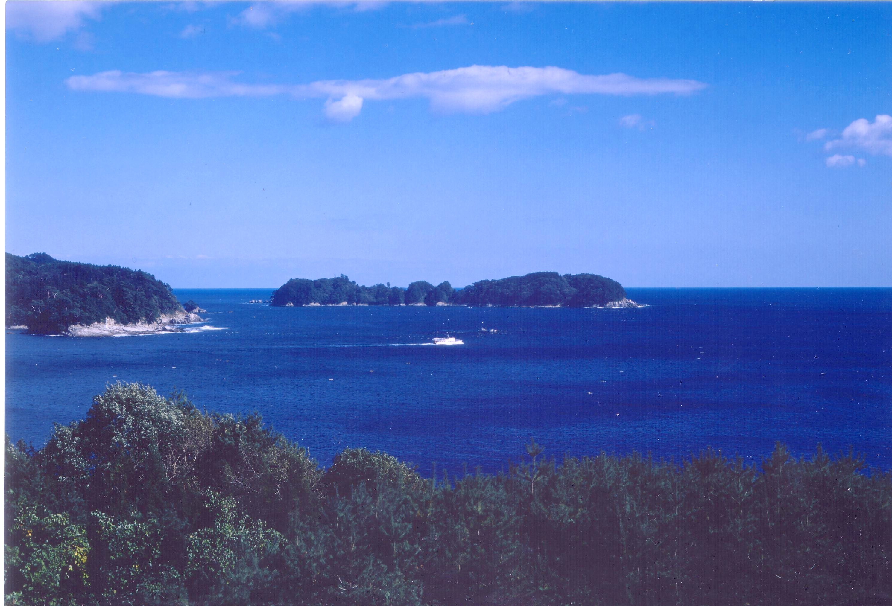 タブの大島風景