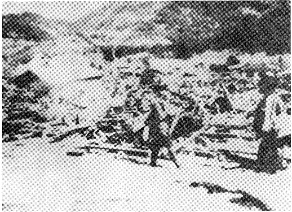 昭和八年の津波による田の浜の被害の写真