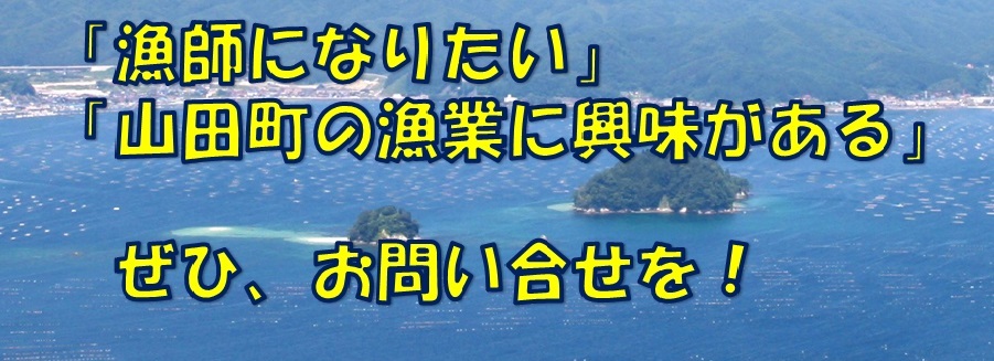 「漁師になりたい」「山田町の漁業に興味がある」ぜひお問い合わせを！