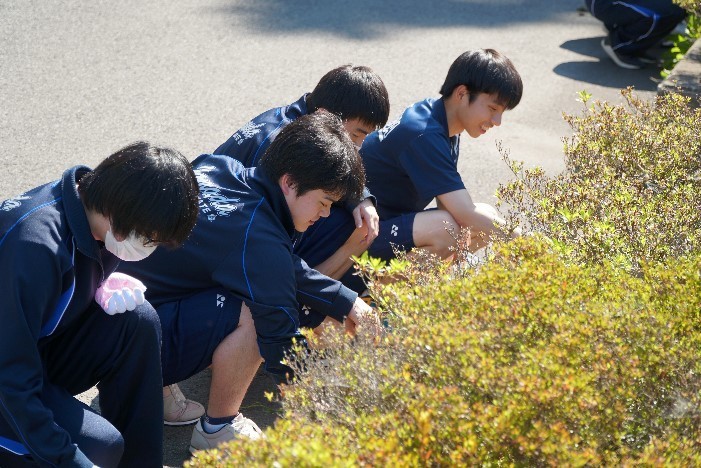 山田高校の生徒が花壇の手入れをしている写真